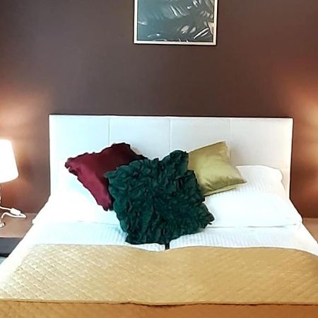 Luxury Apartment - Rakowicka 6 Krakow Dış mekan fotoğraf