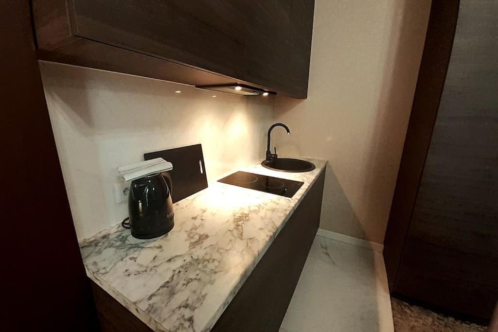 Luxury Apartment - Rakowicka 6 Krakow Dış mekan fotoğraf