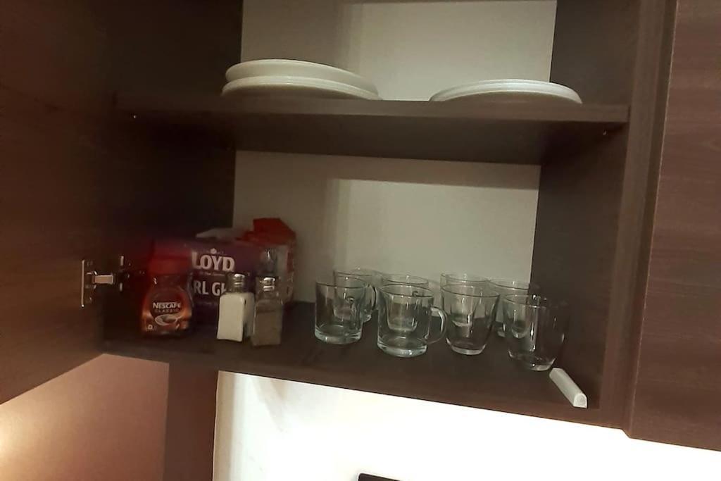 Luxury Apartment - Rakowicka 6 Krakow Dış mekan fotoğraf